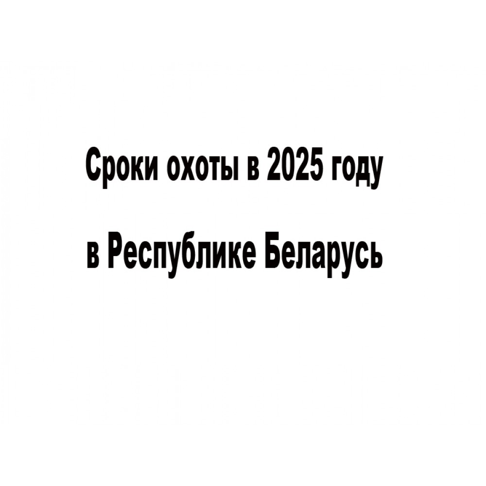 Календарь охотника на 2025 год в Беларуси