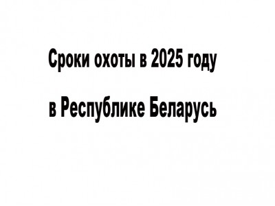 Календарь охотника на 2025 год в Беларуси